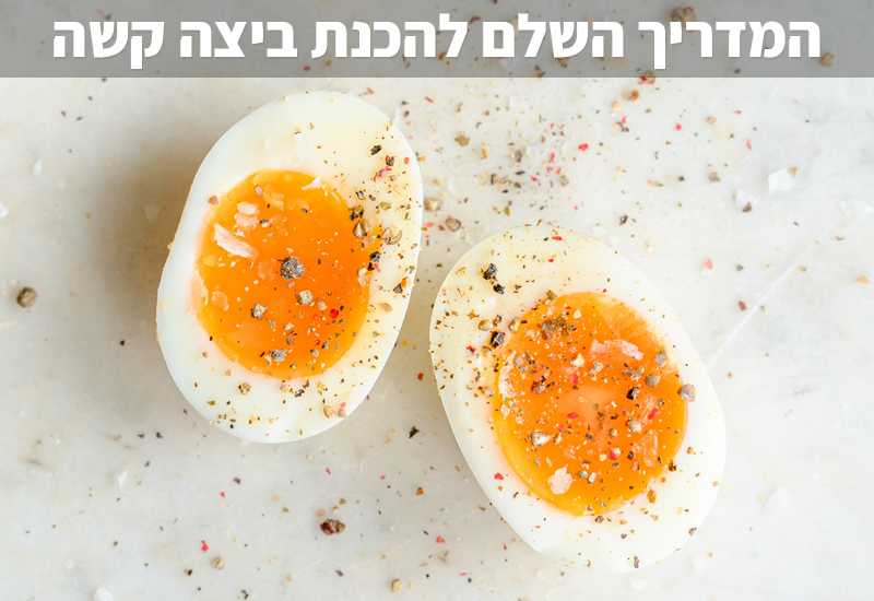 המדריך השלם להכנת ביצה קשה - איך להכין ביצה קשה מושלמת - פודיק - Foodik