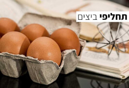 תחליפי ביצים שכדאי להכיר