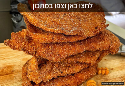 שניצל ביסלי גריל כשר לפסח