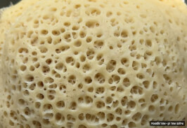 לחוח תימני אסלי אמיתי